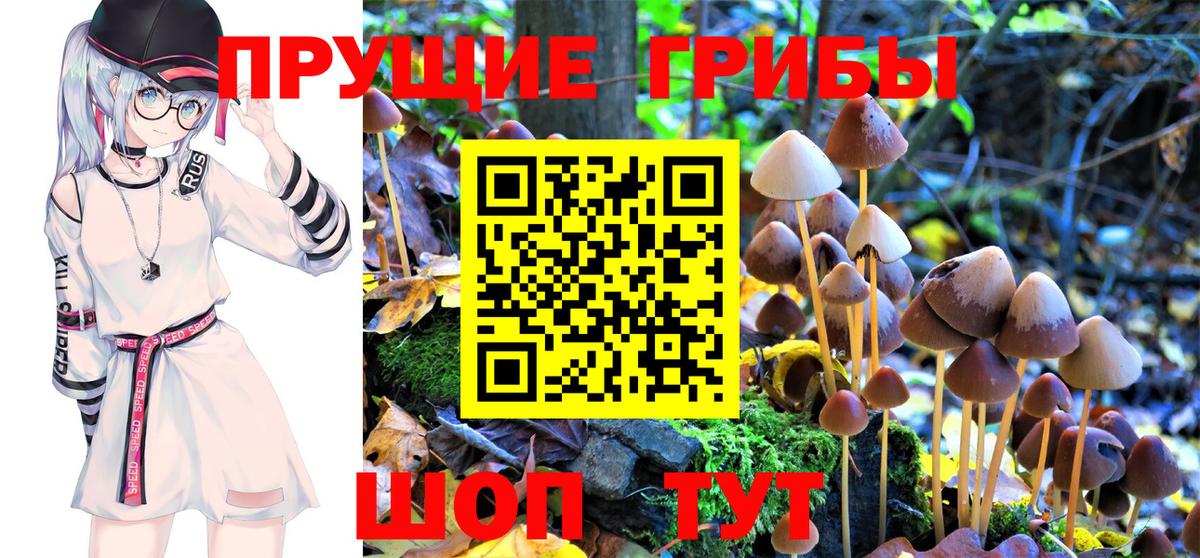 Псилоцибиновые грибы прущие грибы Пятигорск