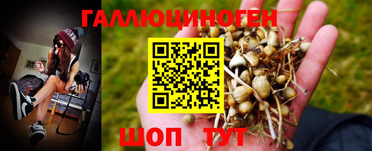 Пятигорск  сколько стоит  Вход с VPN  Псилоцибиновые грибы MAGIC MUSHROOMS  Галлюциногенные грибы прущие грибы 